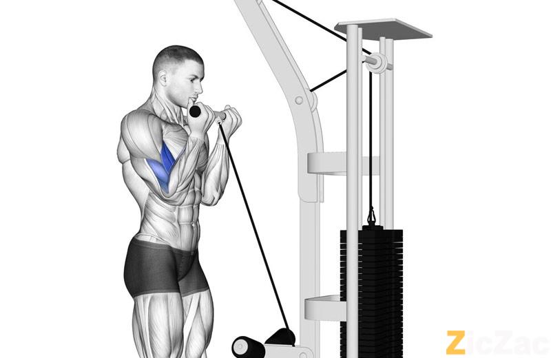 tập gym giảm cân