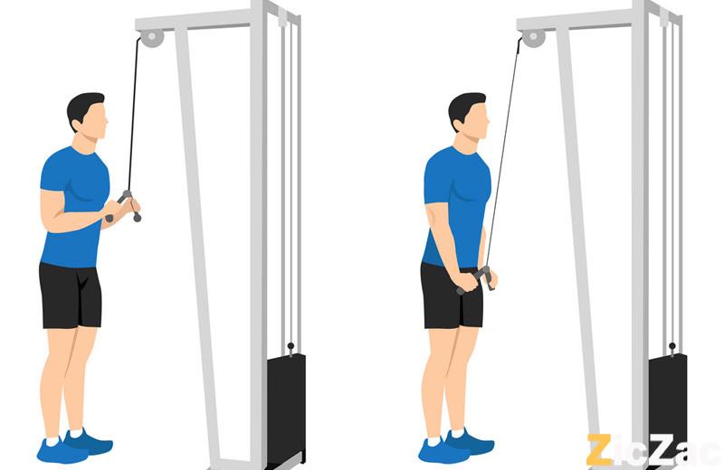 tập gym giảm cân