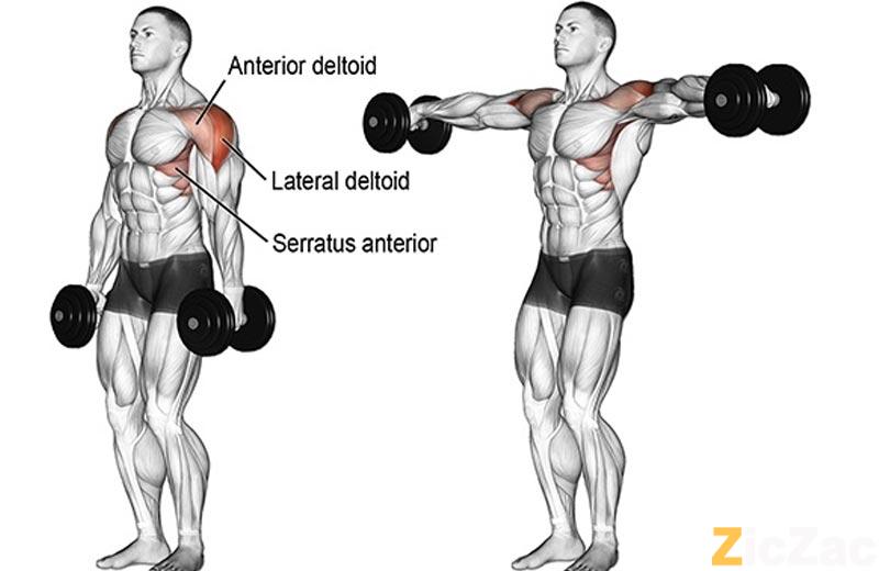 tập gym tăng cân